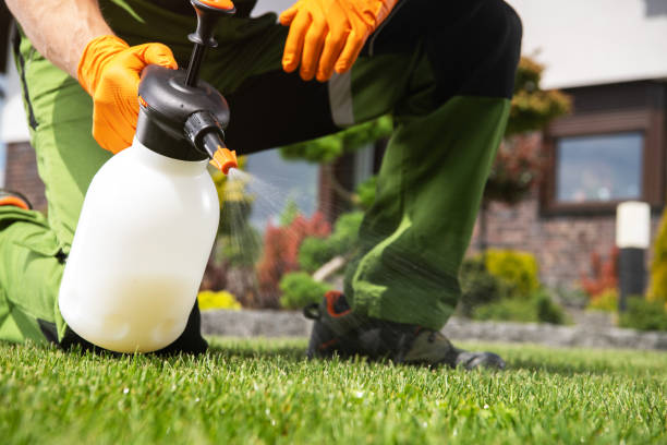 Best Rodent Control Near Me  in Eagle River, WI