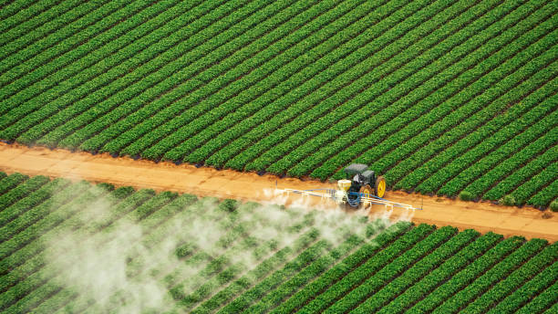Best Pest Control Treatment  in Eagle River, WI