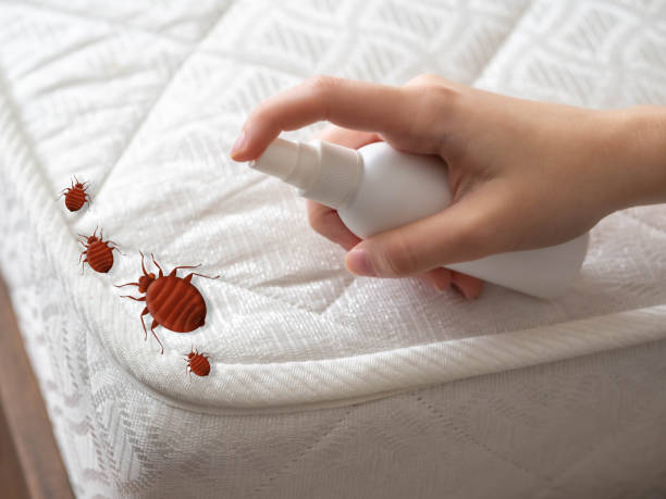 Best Emergency Pest Control  in Eagle River, WI