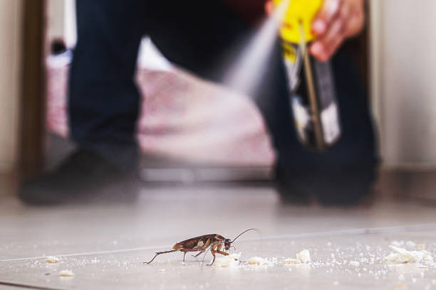 Best Exterminator Services  in Eagle River, WI