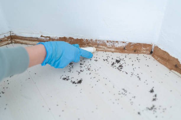 Best Best Pest Control Companies  in Eagle River, WI