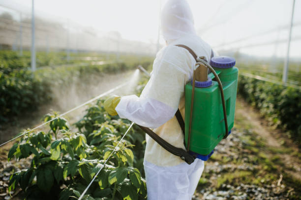 Best Best Pest Control Companies  in Eagle River, WI